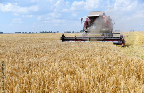 The harvester works in a wheat field.Summer harvest.