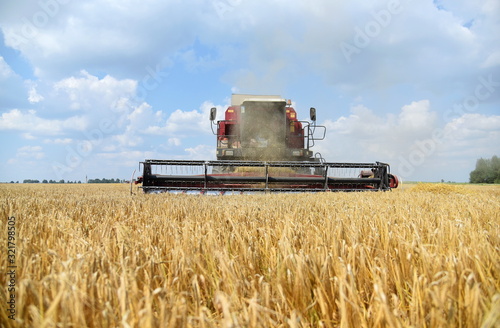 The combine works on a large wheat field.