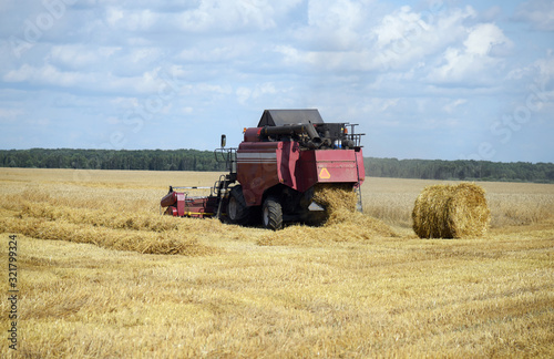 Combine works on a wheat field  harvesting.