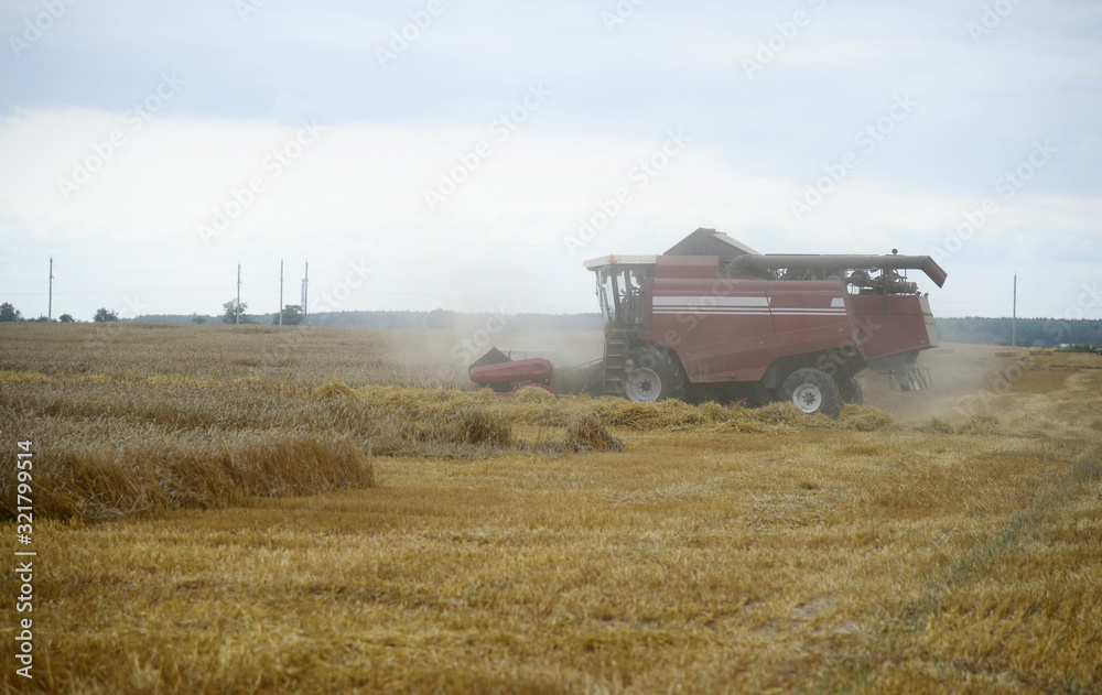 Fototapeta premium combine harvester working on wheat field