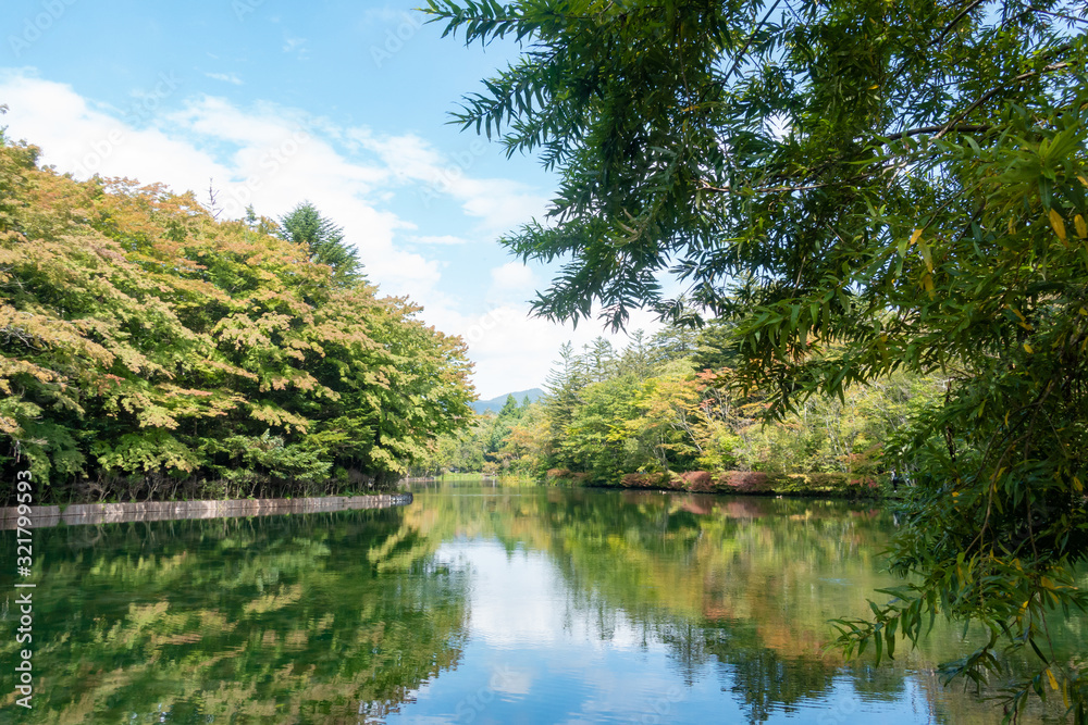 Beautiful reflection of greenery on water in Kumoba Pond, at Karuizawa, Nagano, Japan.