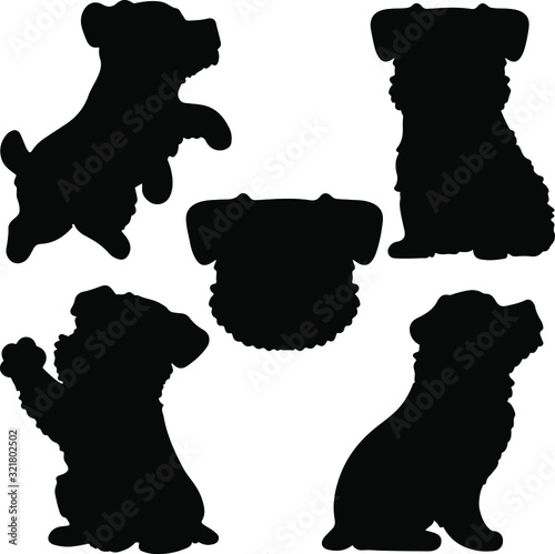 Set of Miniature Schnauzer silhouettes