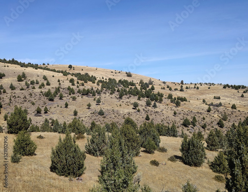 Remote green and brown prairie landscape with a blue sky and white clouds in Morris Canyon Central Oregon © Marc Sanchez