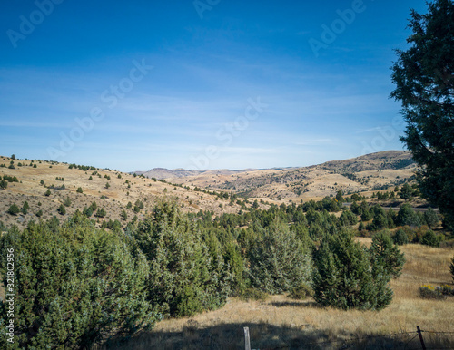 Remote green and brown prairie landscape with a blue sky and white clouds in Morris Canyon Central Oregon
