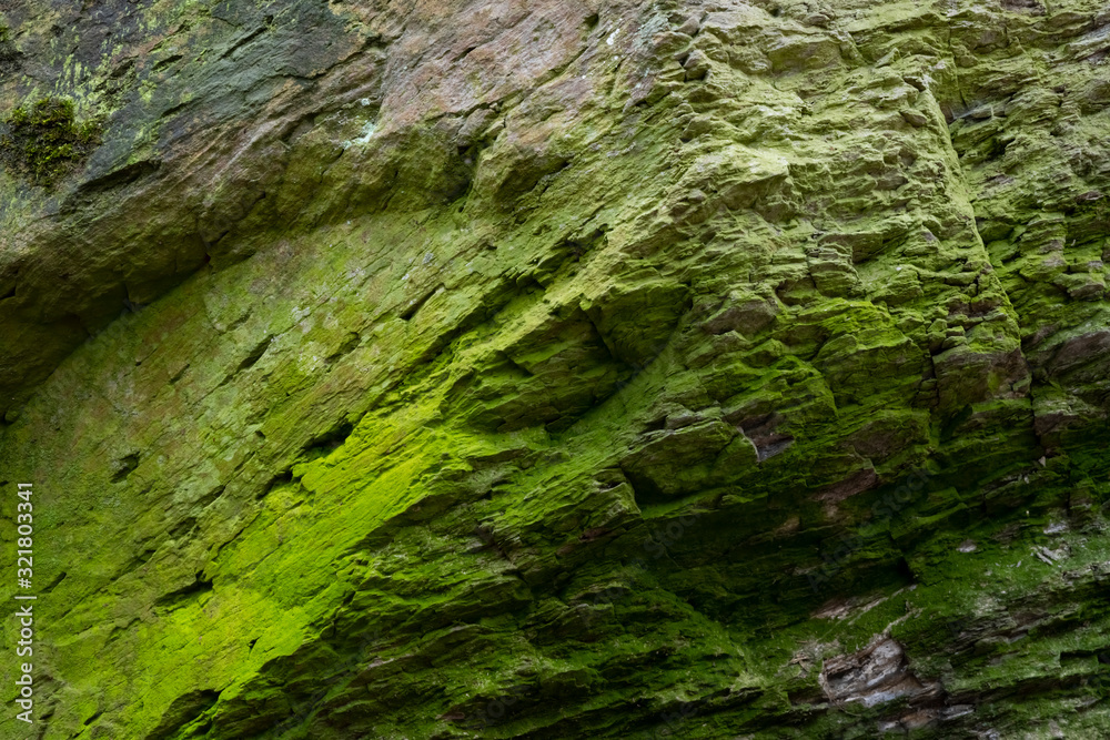 Felsen Moos Algen Grün Oberfläche Hintergrund Struktur Stein Wand rauh Steinbruch Kante Klüfte Risse Schiefer Kalk Farbtöne Grün hell Dunkel Felsen Moos Algen Grün Oberfläche Hintergrund Struktur Stein Wand rauh Steinbruch Kante Klüfte Risse Schiefer Kalk Farbtöne Grün hell Dunkel
