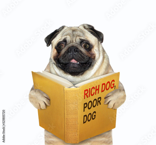 The mops is reading a book called rich dog, poor dog. White background. Isolated. © iridi66