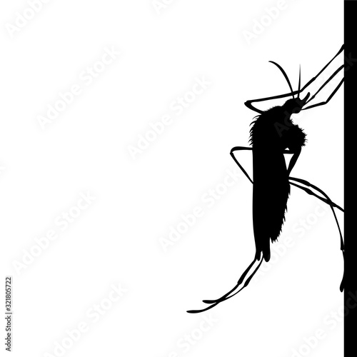 Vector silhouette of mosquito sitting on wall on white background. Symbol of annoying insect.