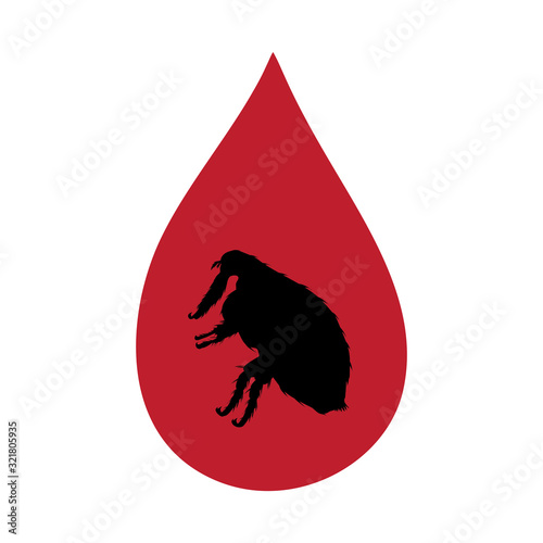 Vector silhouette of flea inside drop of blood on white background. Symbol of insect who annoying animal.