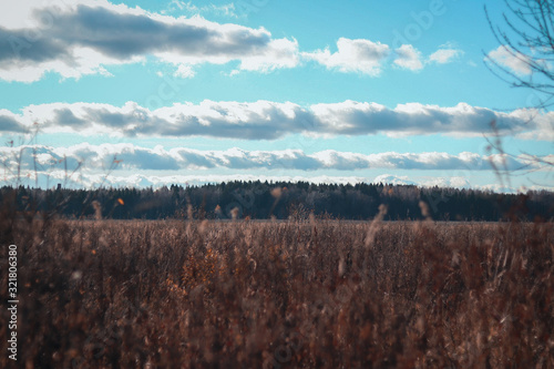 autumn landscape with trees and clouds