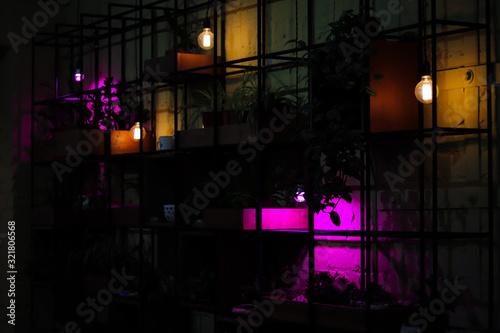 night club