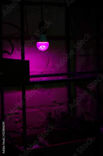 lamp in living room