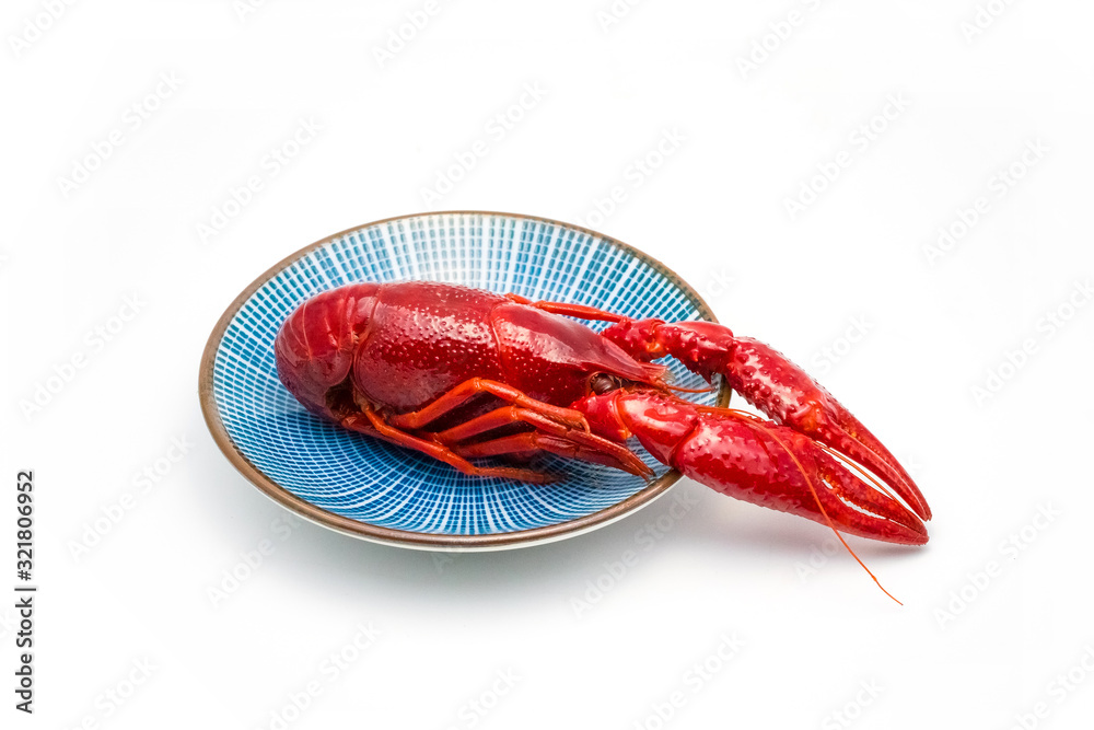 Crayfish Crayfish