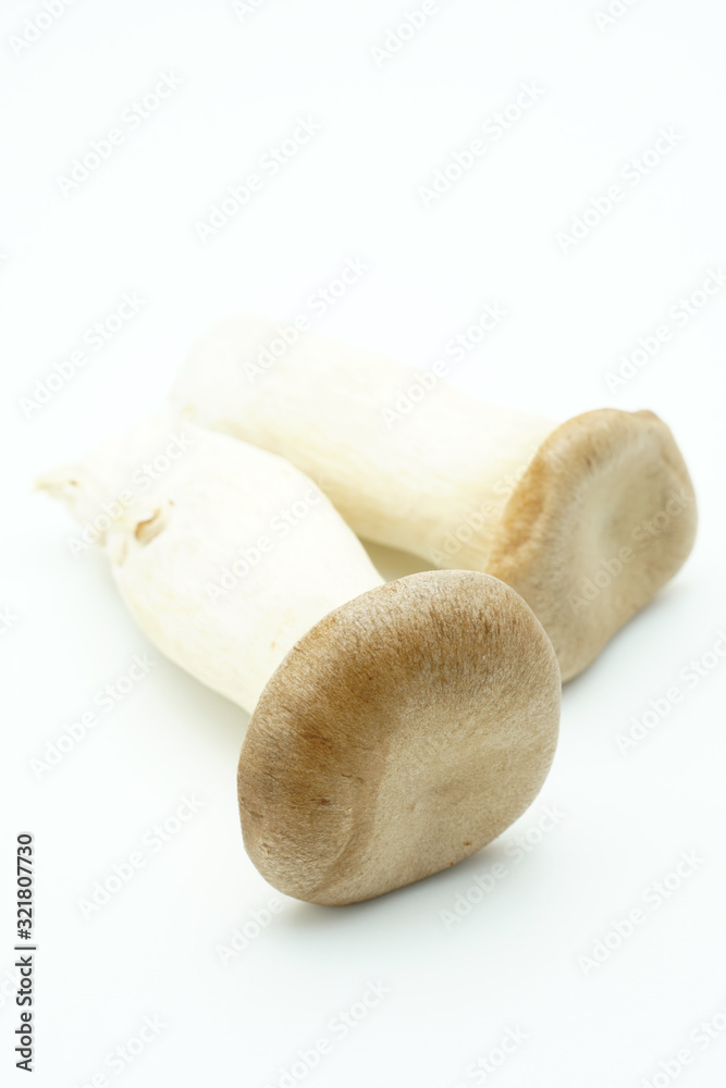 エリンギ エリンギ