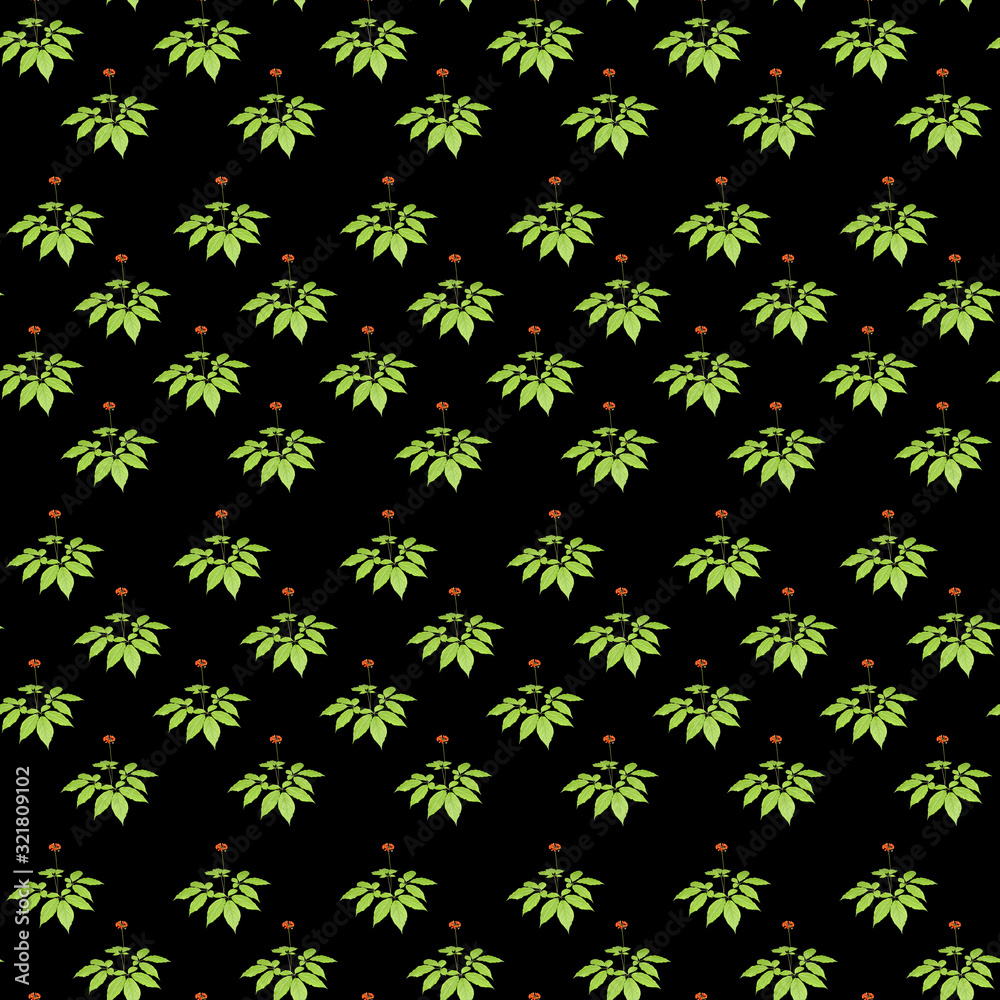 Wild korean ginseng. Seamless pattern. Wild korean ginseng. Seamless pattern.