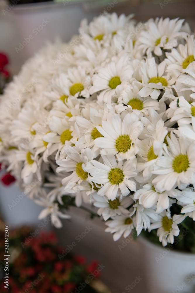 Fototapeta premium Bouquet with flower blossom. Floral background. Shallow depth photo. Soft toned colors.