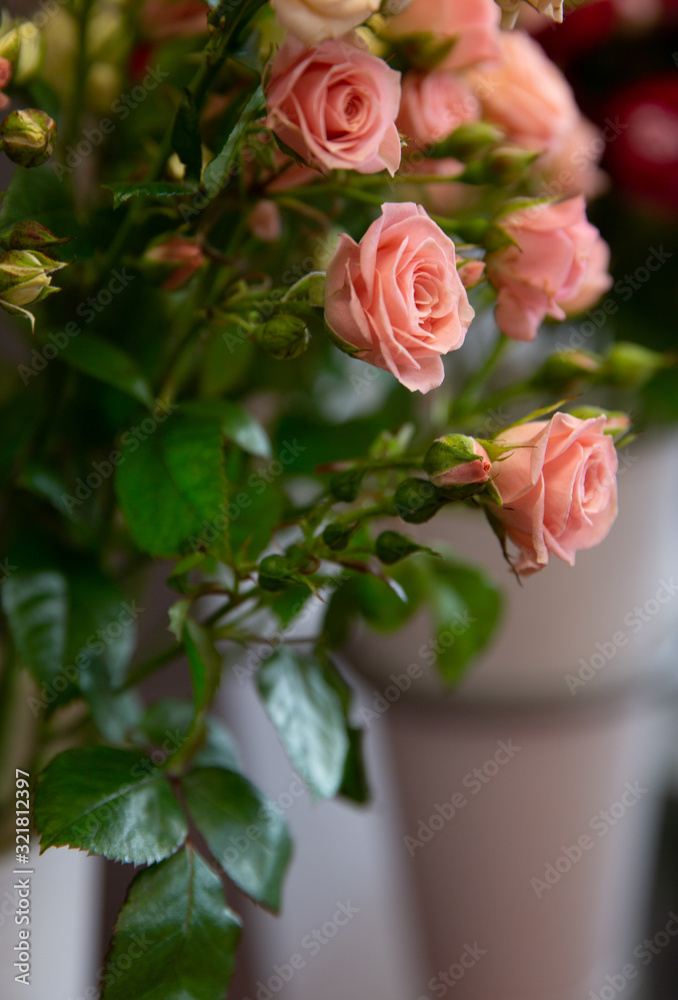 Fototapeta premium Bouquet with flower blossom. Floral background. Shallow depth photo. Soft toned colors.