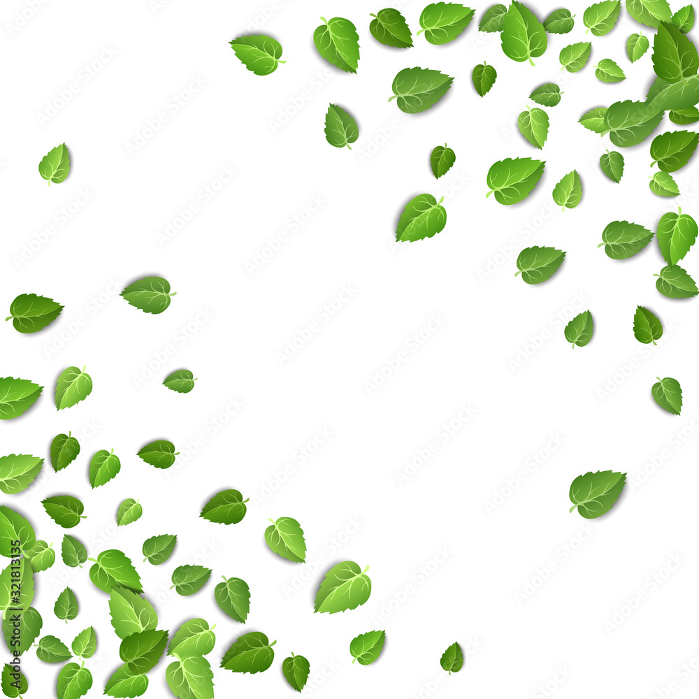 Flying green leaves on white background. Spring leaf pattern on isolated backdrop. Fall fresh leaves plant. Vector illustration closeup Flying green leaves on white background. Spring leaf pattern on isolated backdrop. Fall fresh leaves plant. Vector illustration closeup