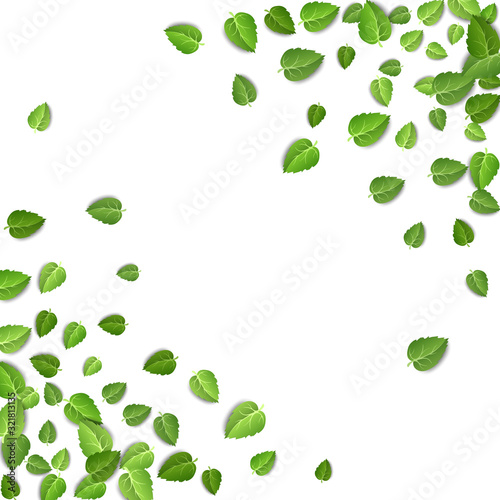 Fototapeta Naklejka Na Ścianę i Meble -  Flying green leaves on white background. Spring leaf pattern on isolated backdrop. Fall fresh leaves plant. Vector illustration closeup