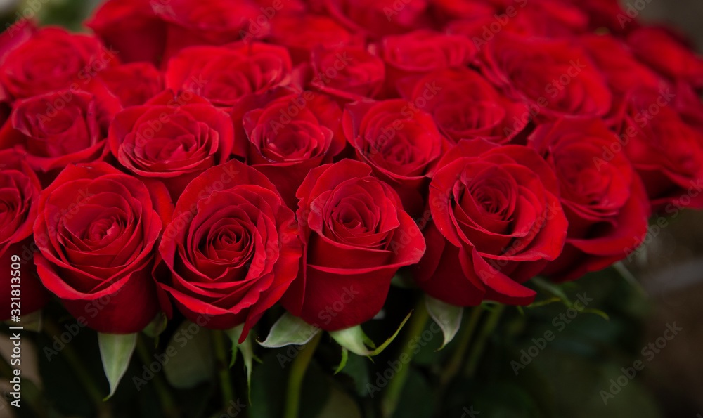 Bouquet with flower blossom. Floral background. Shallow depth photo. Soft toned colors. Bouquet with flower blossom. Floral background. Shallow depth photo. Soft toned colors.