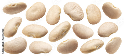 White bean collection isolated on white background