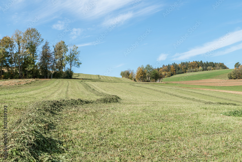Fototapeta premium Abgemähte Wiese und Landschaft im Bayerischen Wald, Deutschland