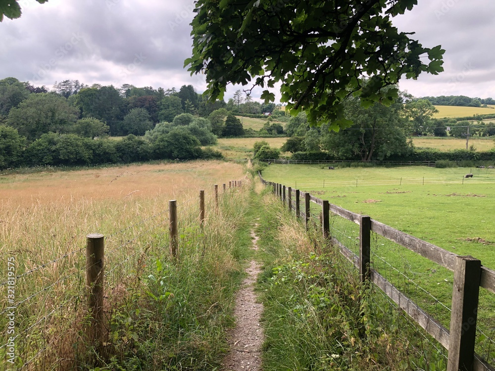 Path in the countryside Path in the countryside