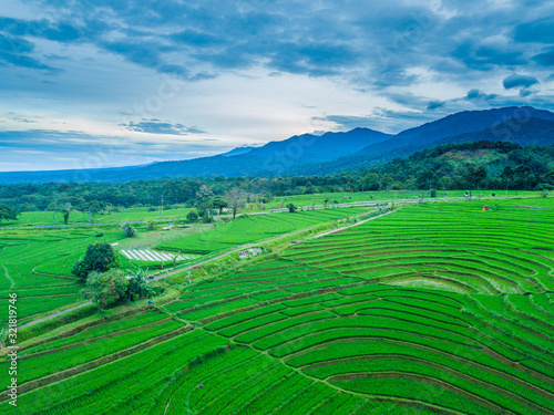 indonesia aerial view of rice fields with amazing mountain range