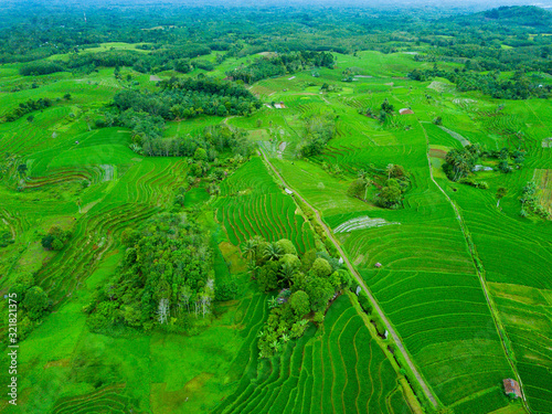 indonesia aerial view of rice fields, misty morning mountain range 