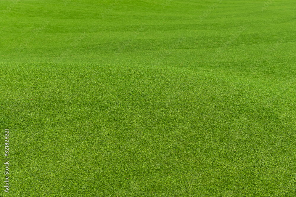 Naklejka Green grass background texture