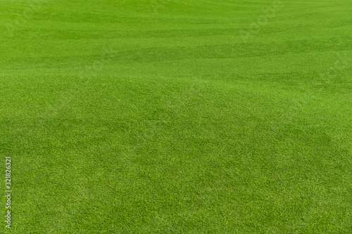 Green grass background texture © mr_gateway