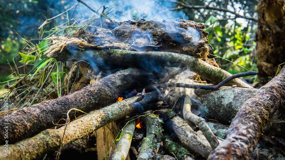 Close up view of hand making a campfire using the dried tree branches. Close up view of hand making a campfire using the dried tree branches.