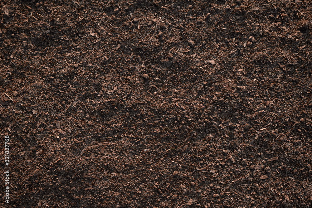 Soil texture background,Fertile loam soil suitable for planting. Stock Photo Adobe Stock