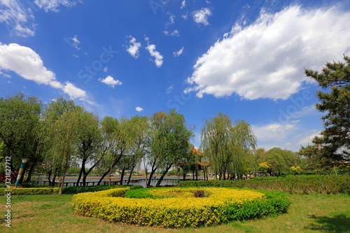 green landscape in the park