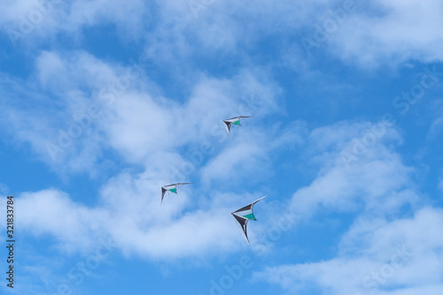 Kites flying in sky
