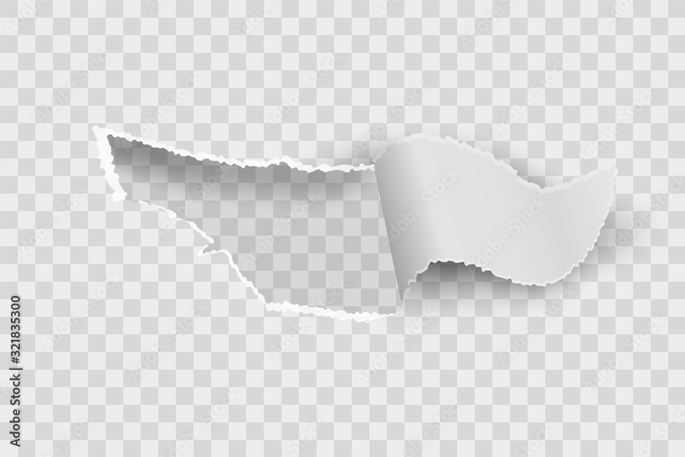 Paper hole. Realistic torn blank rip edge banner. Tear off paper curled  piece isolated on transparent background. Vector illustration white papers  with ripped edges on transparent background Stock Vector | Adobe Stock