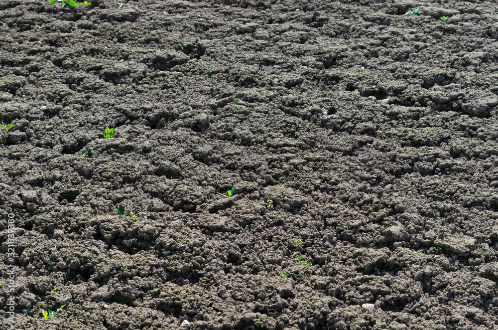 Plowed soil on a farm field for sowing in the spring