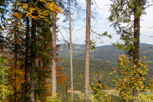 Scenic view at landscape nearby Feldberg  Black Forest in autumn with multi colored trees