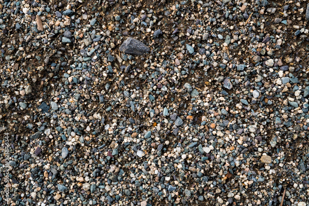 The texture of a shallow river stone. Pebble Background Image The texture of a shallow river stone. Pebble Background Image