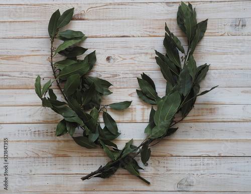 Laurel wreath. Branch of dried bay leaf. Use in medicine and in the food industry. Organic food.