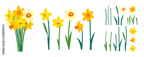 Vector set of positive floral illustrations isolated on white background. Early spring garden flowers. Yellow daffodils bouquet. Clip art for bright festive greeting card, poster, banner. Womens Day