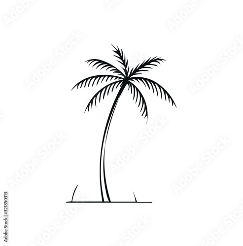 palm tree flat design illustration