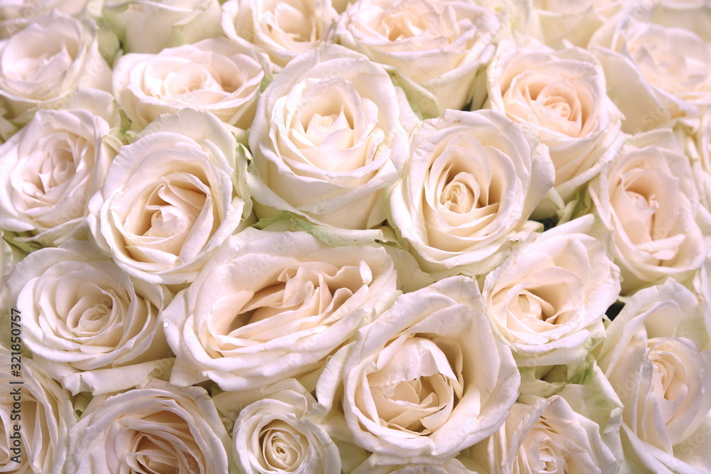 Natural floral background with bouquet of pink roses Natural floral background with bouquet of pink roses