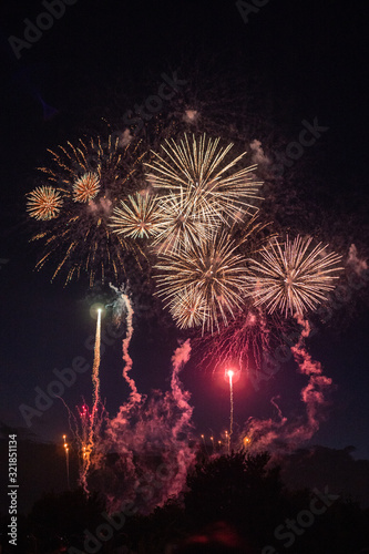 Fireworks in the sky on the Tama-river, Tokyo, Japan