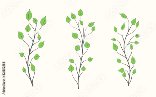 Set of branches with green leaves of different shapes and sizes on a light background