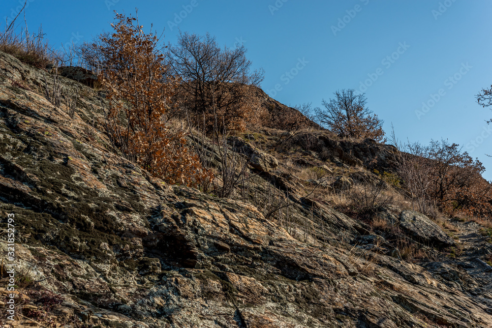 rocks in the foreground in the forest rocks in the foreground in the forest