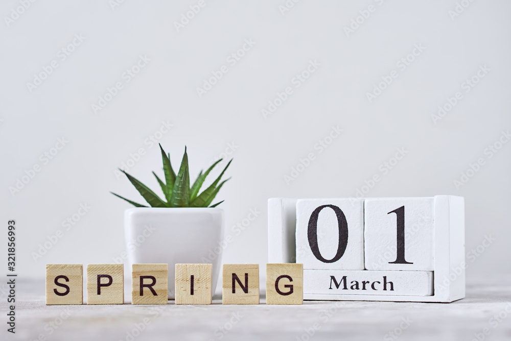 Wooden block calendar with date 1 march and plant on the table. Spring concept - obrazy, fototapety, plakaty 