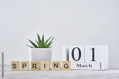 Fotografie Wooden block calendar with date 1 march and plant on the table