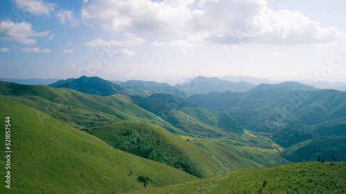 Green meadow in the mountains in winter