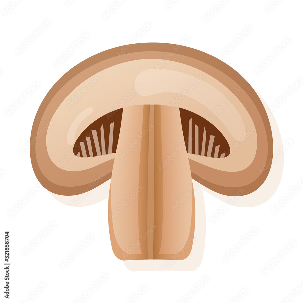 Obraz premium Fresh royal champignon mushrooms slice, isolated on white background. Vector illustration.