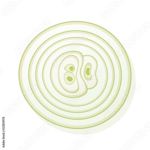 Sliced onion isolated on white background. Rings of onion. Vector Illustration.